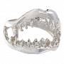 Кольцо FANGS из серебра